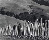 SFMOMA TO SHOWCASE EXTRAORDINARY CALIFORNIA PHOTOGRAPHY COLLECTION AS PART OF 75TH ANNIVERSARY EXHIBITIONS