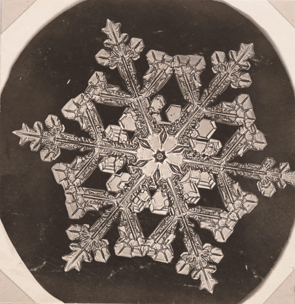 Artwork image, Wilson Alwyn Bentley Snowflake [8794]