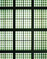 black and green rectangular grid