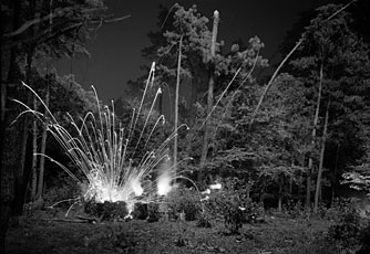 image of explosion in woods