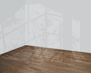 Mary Temple, shadow of branches and flowers on white walls and hardwood floor