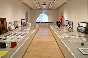 246 and counting installation view