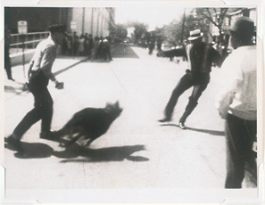 A black and white photograph depicting a Caucasian policeman with a dog barking at an African American man, United Pres International