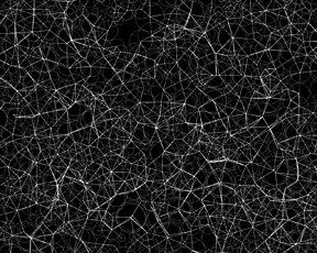 Casey Reas, white web structures on black background