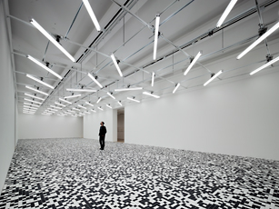 Tauba Auerbach and Rafael Lozano-Hemmer installation view