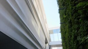 A view of SFMOMA's living wall of green plants, across from the museum's white wavy facade.