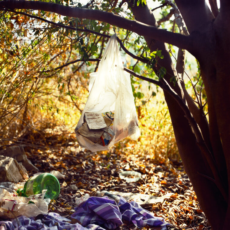 A plastic bag hangs from a tree, amongst various items strewn across the ground
