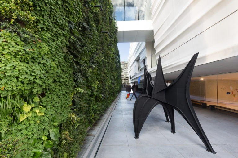Sculpture terrace and living wall
