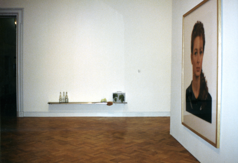 A gallery with a framed portrait of a woman, a metal briefcase with leaves on it, and bottles placed on a shelf.