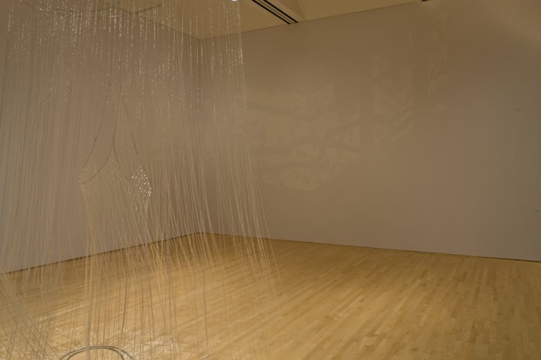 A hanging metallic sculpture in the foreground and a leafy projection in the background 