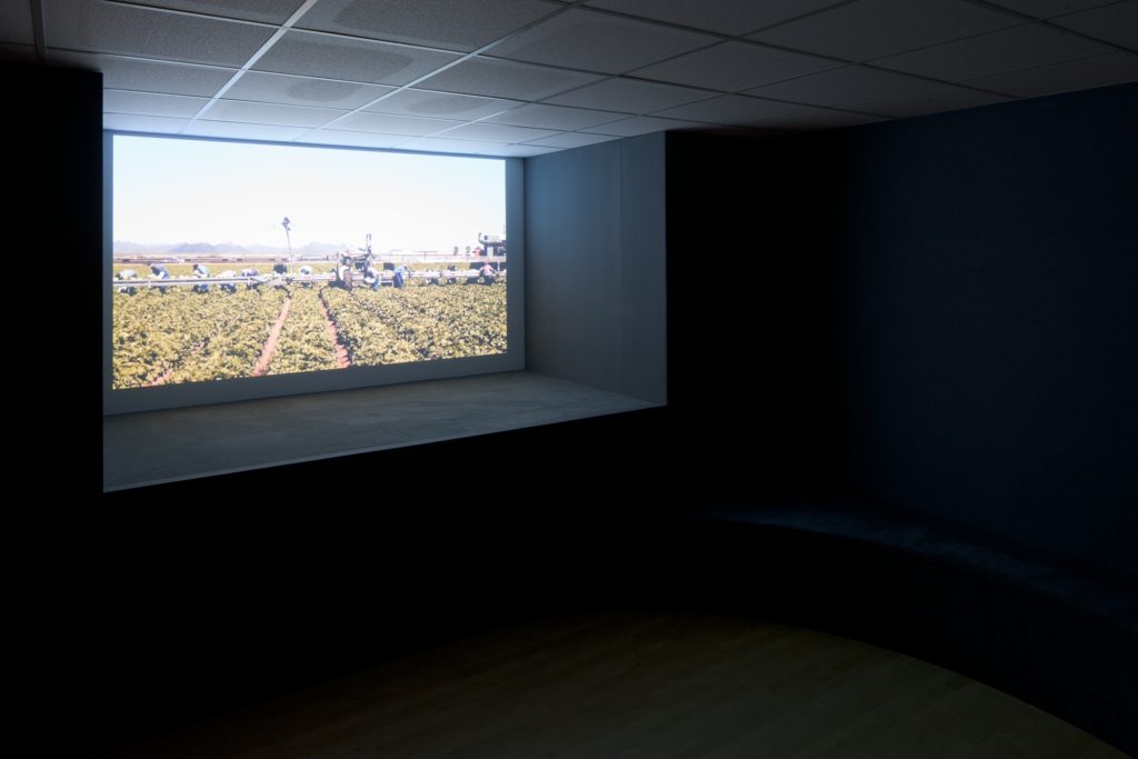 A projection of a field with works in it