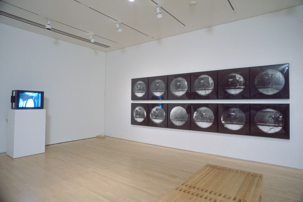 Two rows of round photographs hanging on a wall near a television 