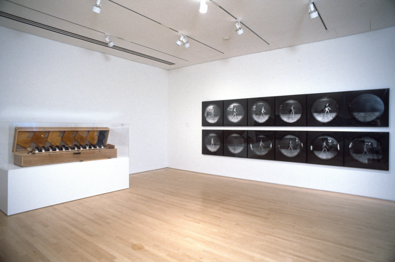 Two rows of round photographs hanging on a wall near a large wooden case