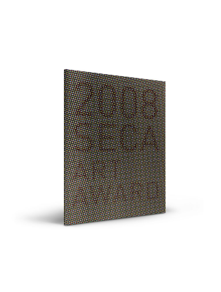 2008 SECA Art Award publication cover