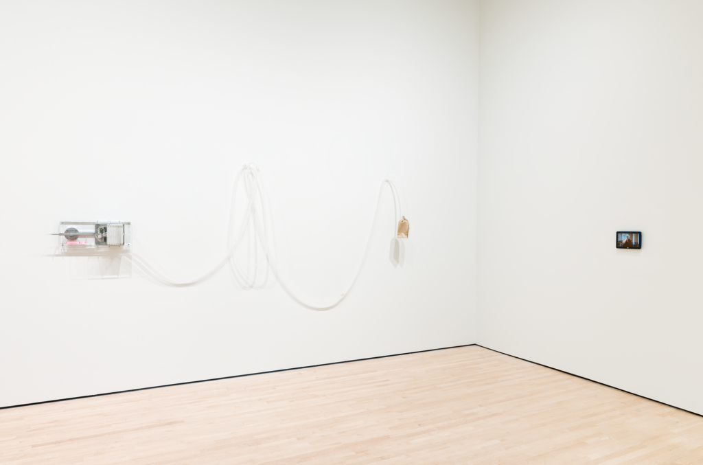 An artwork strung on the wall in a white gallery, Lozan-Hemmer, Soundtracks