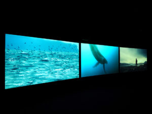 John Akomfrah Vertigo Sea installation image