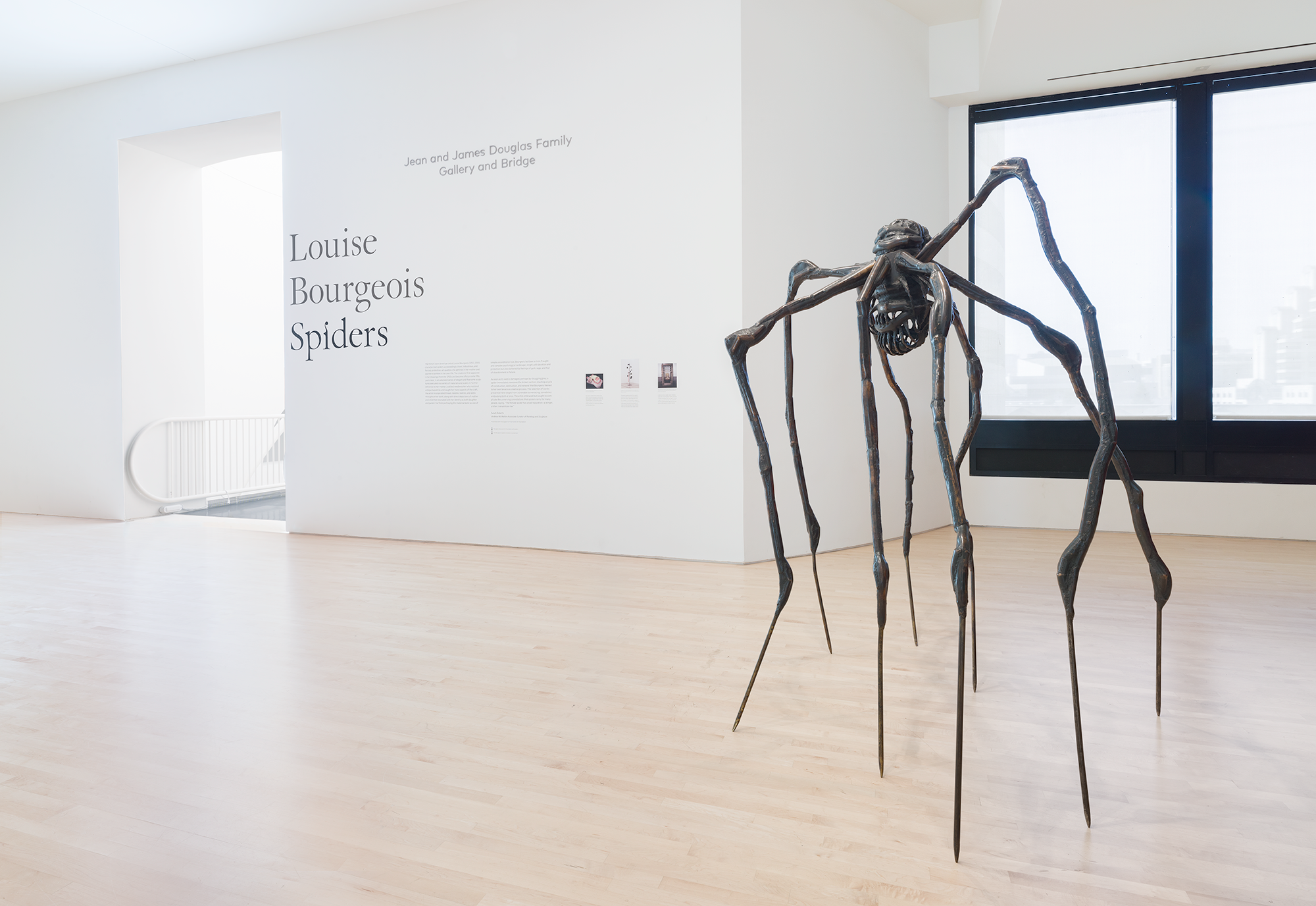Louise Bourgeois's Spiders: A Guide to Their History and Meaning –