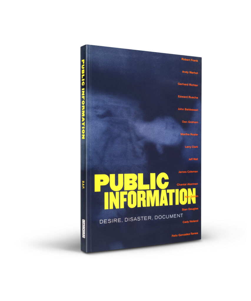Public Information: Desire, Disaster, Document cover
