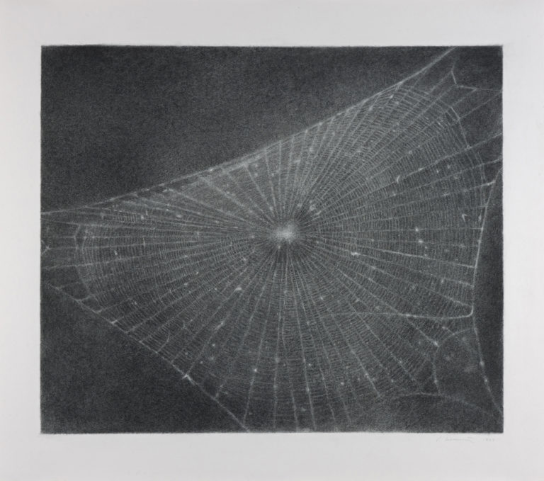 black and white drawing of a spider web