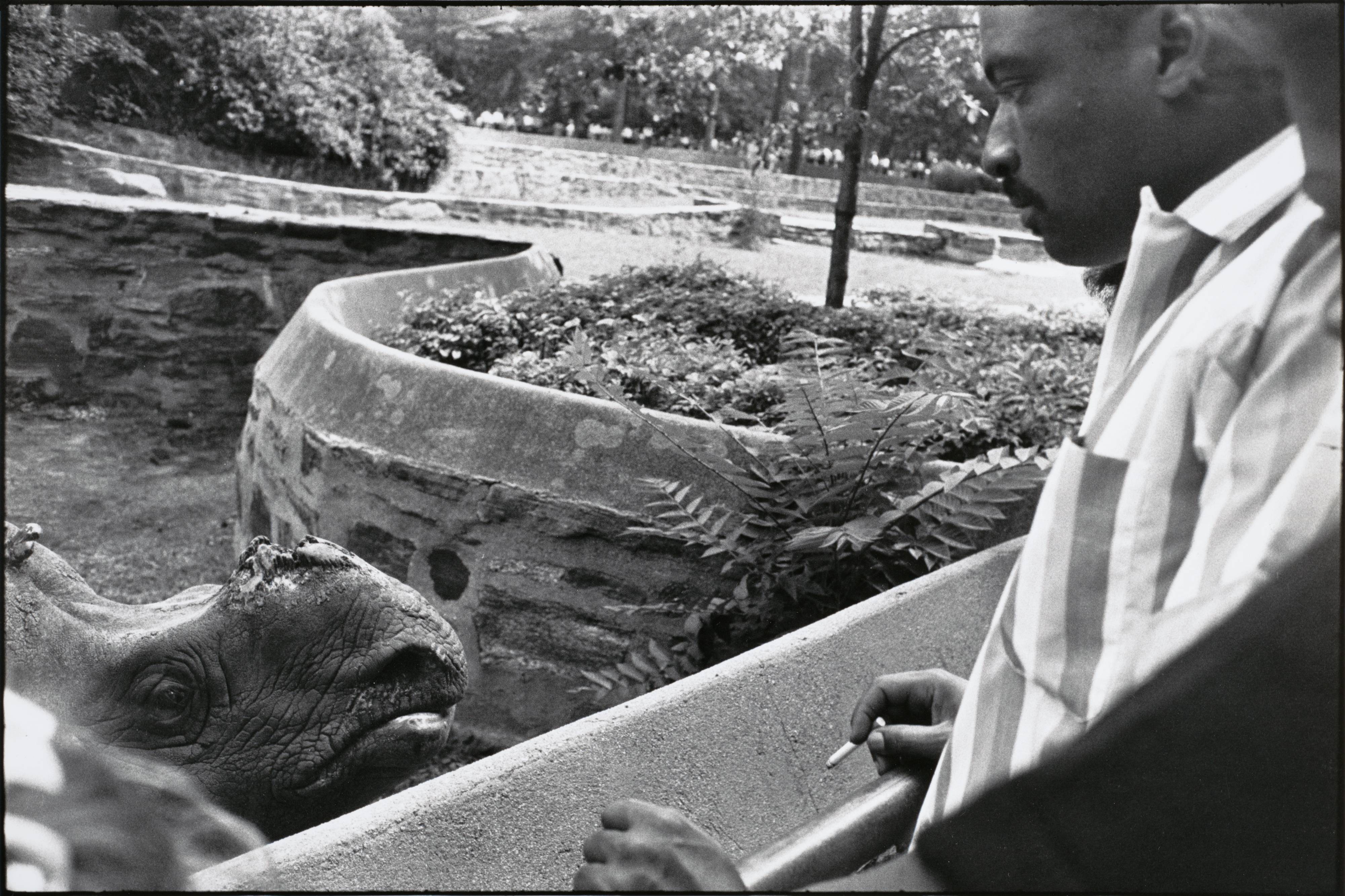 Garry Winogrand, Bronx Zoo, New York, 1963 · SFMOMA