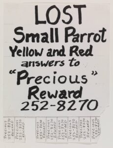 Found “Lost Bird” Poster