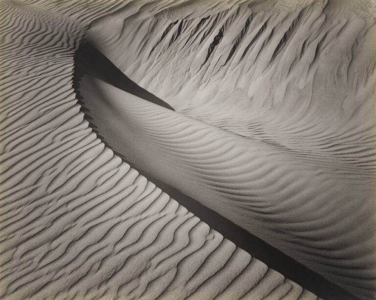 Brett Weston · SFMOMA