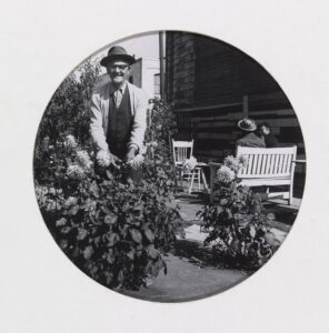 Piper’s Garden, West Oakland, CA [Mr. Piper Standing with his Dahlias in his Garden]