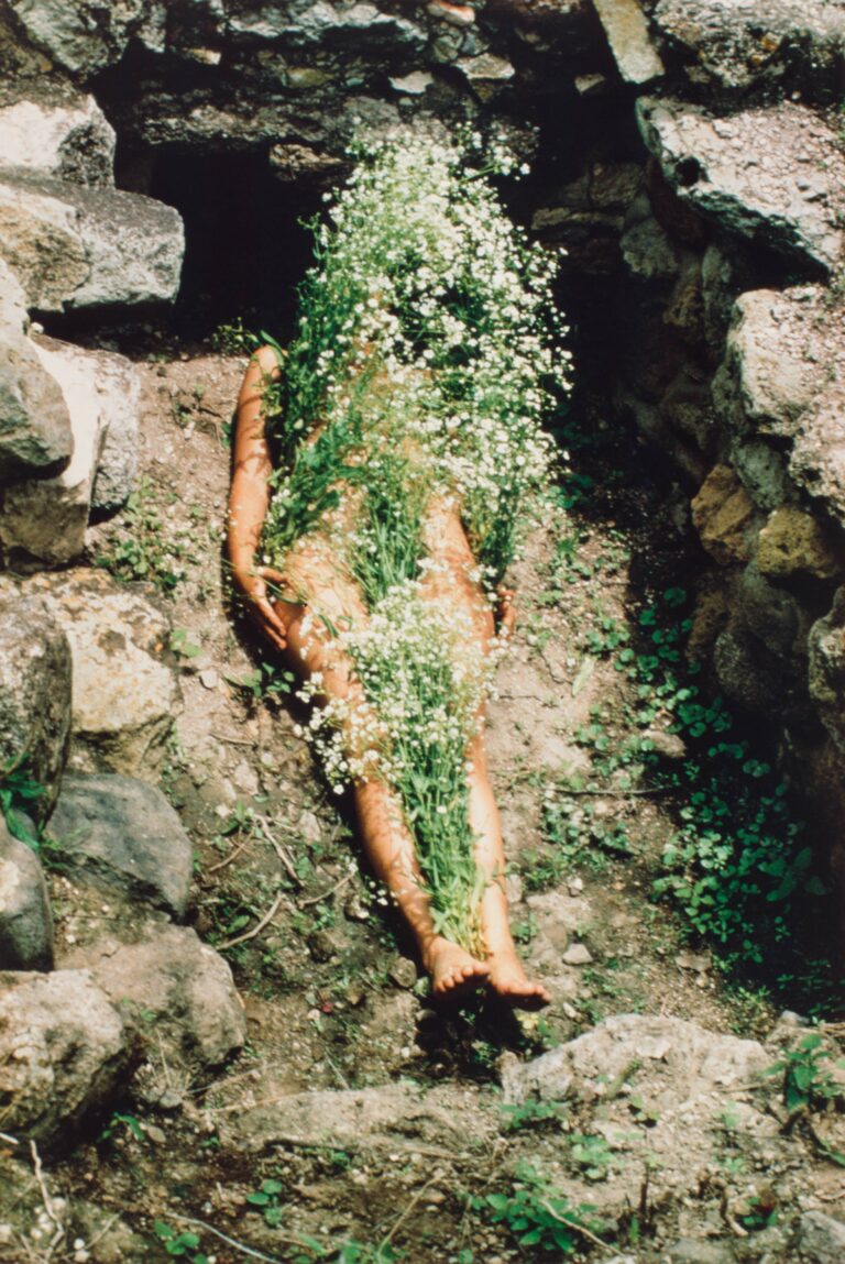 Ana Mendieta Imagen De Yagul From The Series Silueta Works In Mexico