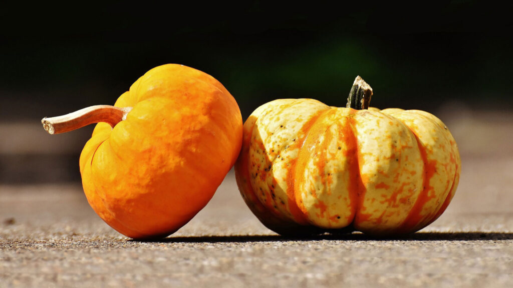 Two mini pumpkins, both on the ground, with the smaller of the two resting diagonally on the other.