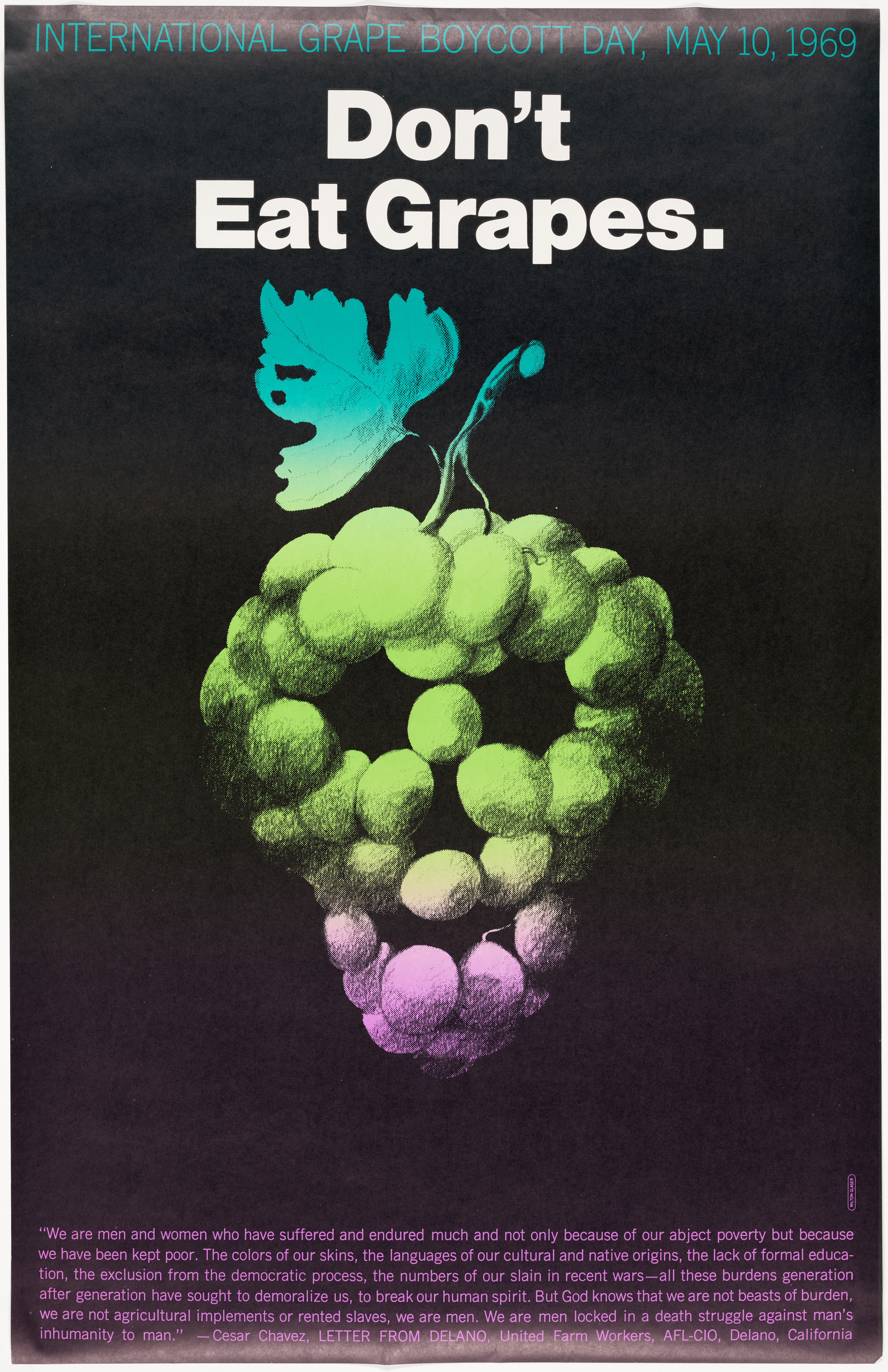 Don’t Eat Grapes: International Grape Boycott Day