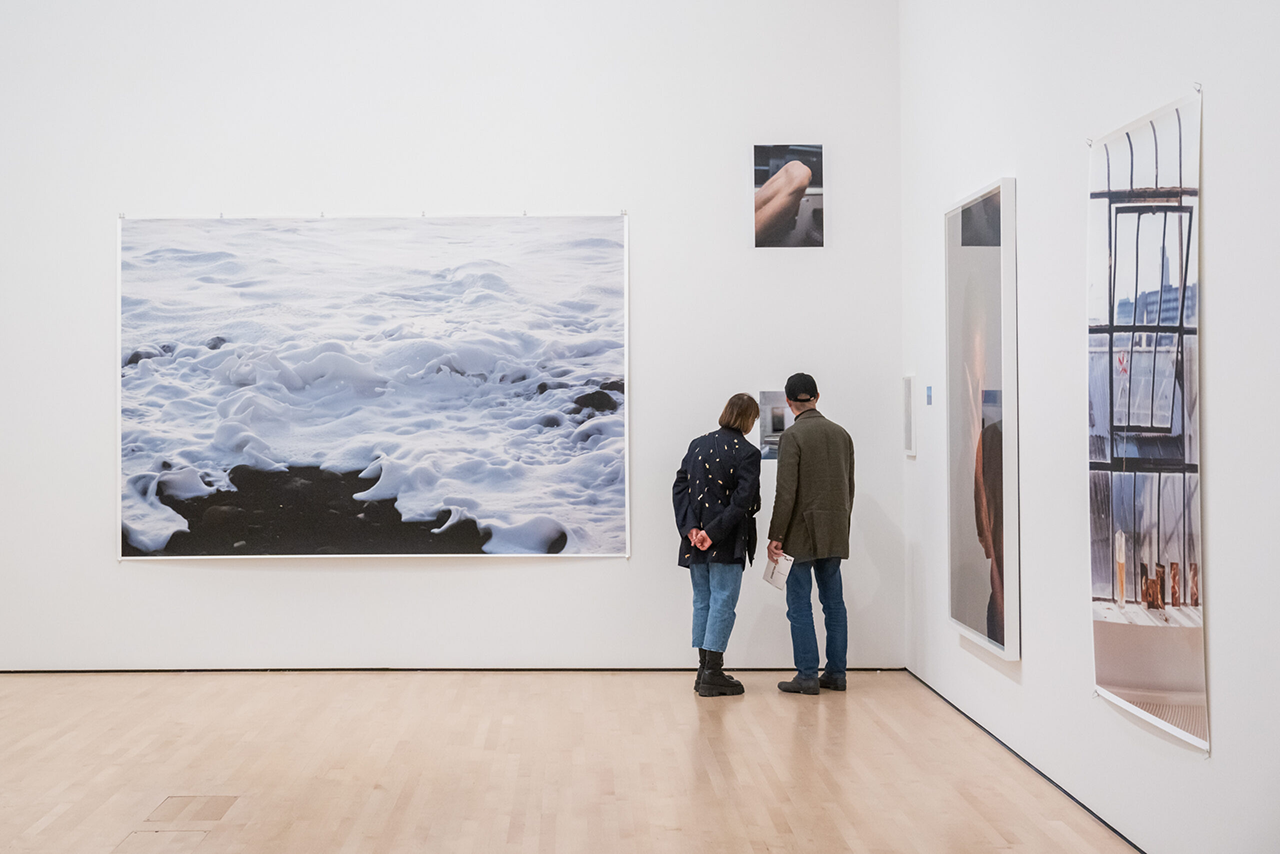 Wolfgang Tillmans Member Last Looks · SFMOMA